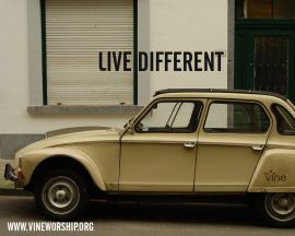 Live Diferent christian wallpaper, christian background