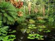 Details for the 'Botanical Gardens' free image, background, wallpaper