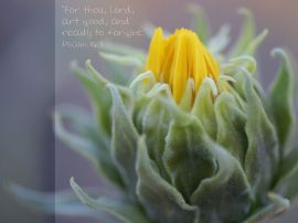 Psalm 86:5 christian wallpaper, christian background