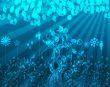 Details for the 'Wild Nature' free image, background, wallpaper