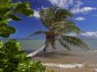 Details for the 'Hawaii' free image, background, wallpaper