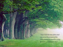 Faith Trees  christian wallpaper, christian background