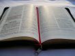 Details for the 'Opened Bible' free image, background, wallpaper