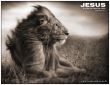 Details for the 'Jesus, Lion' free image, background, wallpaper