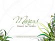 Details for the 'Diante do Trono - Manaus' free image, background, wallpaper
