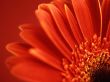 Details for the 'Made by hand' free image, background, wallpaper