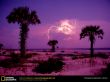 Details for the 'Lightning on beach' free image, background, wallpaper