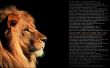 Details for the 'Lion of tribe Judah' free image, background, wallpaper