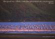 Details for the 'Psalm 92:5' free image, background, wallpaper