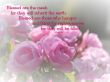 Details for the 'Matthew 5:5-6' free image, background, wallpaper