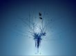 Details for the 'Blue Nature' free image, background, wallpaper