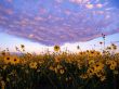 Details for the 'Heaven and Earth' free image, background, wallpaper