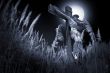 Details for the 'The cross, the die' free image, background, wallpaper