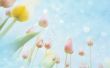 Details for the 'Digital Nature [2]' free image, background, wallpaper