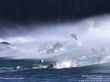 Details for the 'Dolphins' free image, background, wallpaper