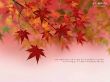 Details for the 'Red Flowers' free image, background, wallpaper