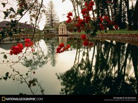 Garden christian wallpaper, christian background