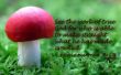 Details for the 'Ecclesiastes 7:13' free image, background, wallpaper