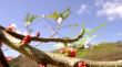 Details for the 'Hope' free image, background, wallpaper