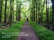 Details for the 'Psalm 25:4' free image, background, wallpaper