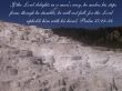 Details for the 'Psalm 37:23-24' free image, background, wallpaper