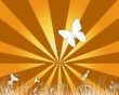 Details for the 'Orange skies and butterflies' free image, background, wallpaper