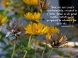 Details for the 'Ephesians 2:10' free image, background, wallpaper