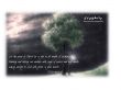 Details for the 'Colossians 3:1' free image, background, wallpaper