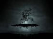 Details for the 'The Tree' free image, background, wallpaper