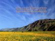 Details for the 'Hebrews 2:3' free image, background, wallpaper
