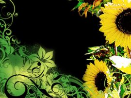 Details for 'Sunflower'christian wallpaper, christian background