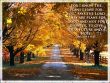Details for the 'Jeremiah 29:11' free image, background, wallpaper