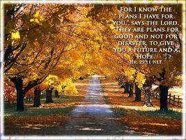 Jeremiah 29:11 christian wallpaper, christian background