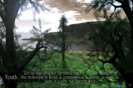 1 Timothy 4:12 christian wallpaper, christian background