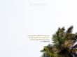 Details for the '1 Peter 3:18' free image, background, wallpaper