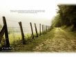 Details for the 'Jeremiah 6:16' free image, background, wallpaper