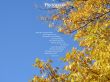 Details for the 'Hebrews 1:1-2' free image, background, wallpaper