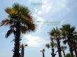 Details for the 'James 1:2' free image, background, wallpaper