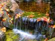 Details for the 'Water and Leaves' free image, background, wallpaper