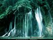 Details for the 'Beautiful and natural' free image, background, wallpaper