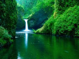 Green Beauty christian wallpaper, christian background