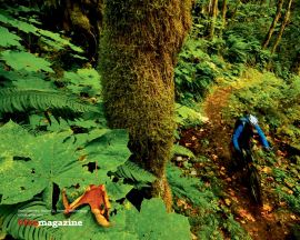 Mountain bike in florest christian wallpaper, christian background
