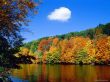 Details for the 'Autumn and river' free image, background, wallpaper