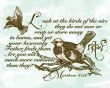 Details for the 'Sparrow' free image, background, wallpaper
