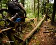 Details for the 'Bike Adventure' free image, background, wallpaper