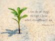 Details for the 'Philippians 4:13' free image, background, wallpaper