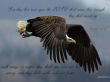 Details for the 'Wings as Eagles' free image, background, wallpaper