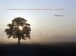 Details for the 'Proverbs 8:17' free image, background, wallpaper
