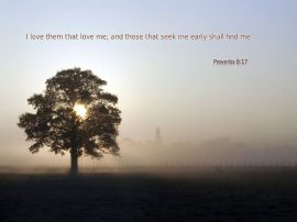 Proverbs 8:17 christian wallpaper, christian background