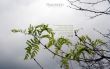 Details for the 'John 3:8' free image, background, wallpaper